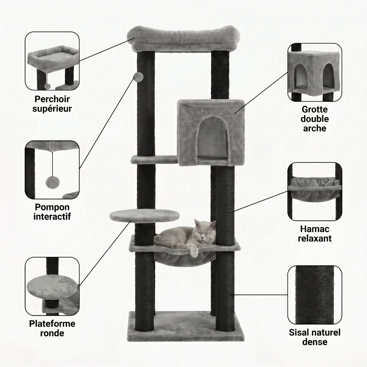 Arbre à Chat Design avec Maison Double Arche & Hamac