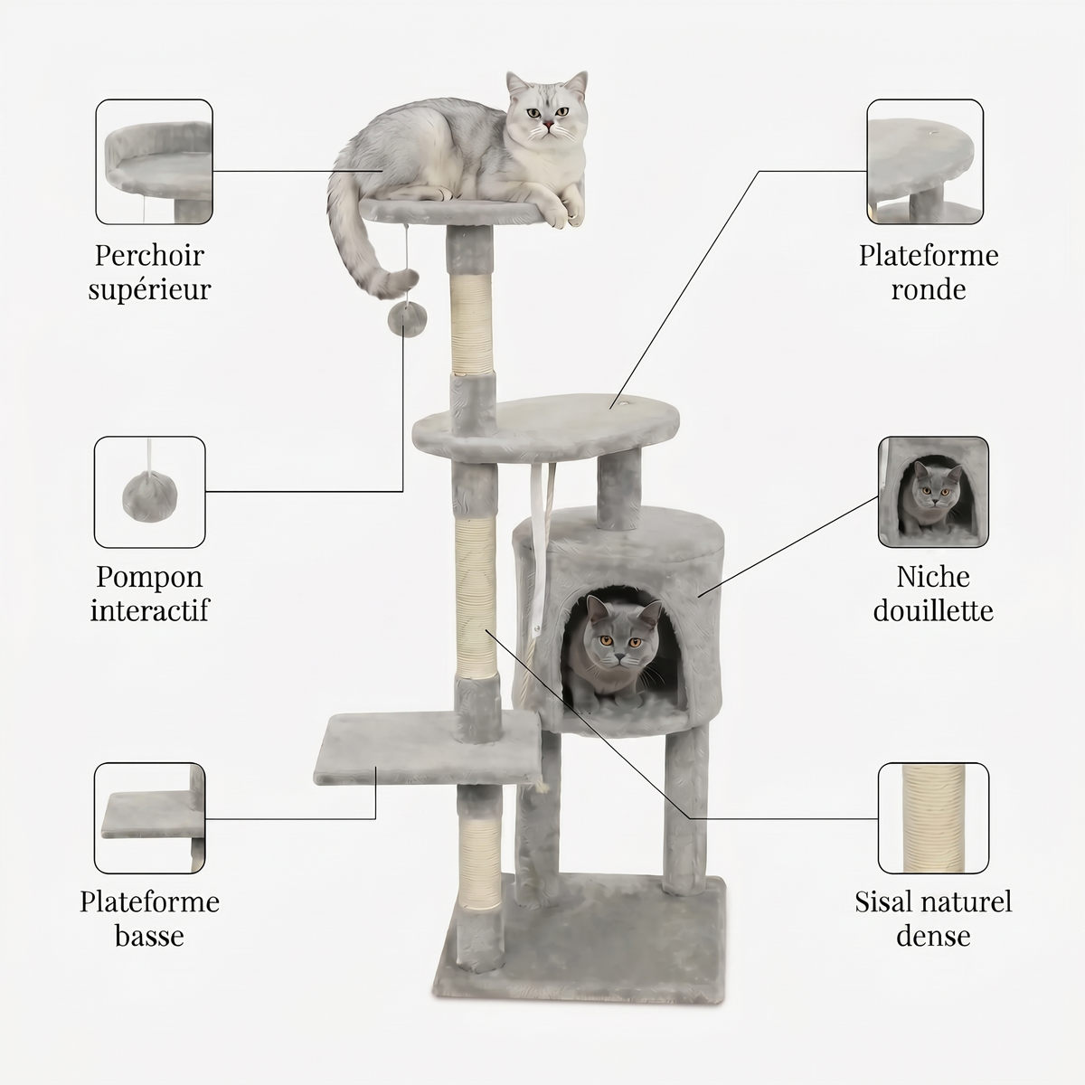 Arbre à Chat avec Maison Ronde, Plateformes & Griffoir Sisal