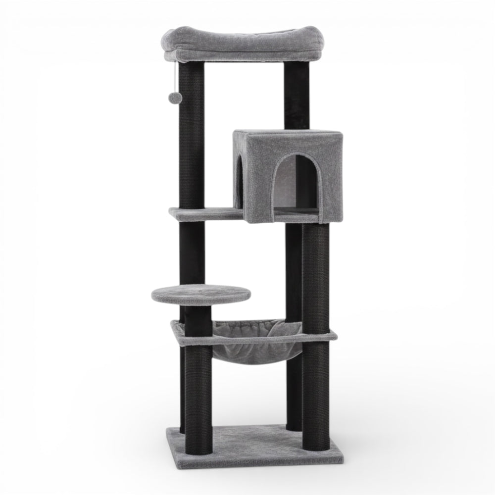 Arbre à chat multi-niveaux double niche (2)