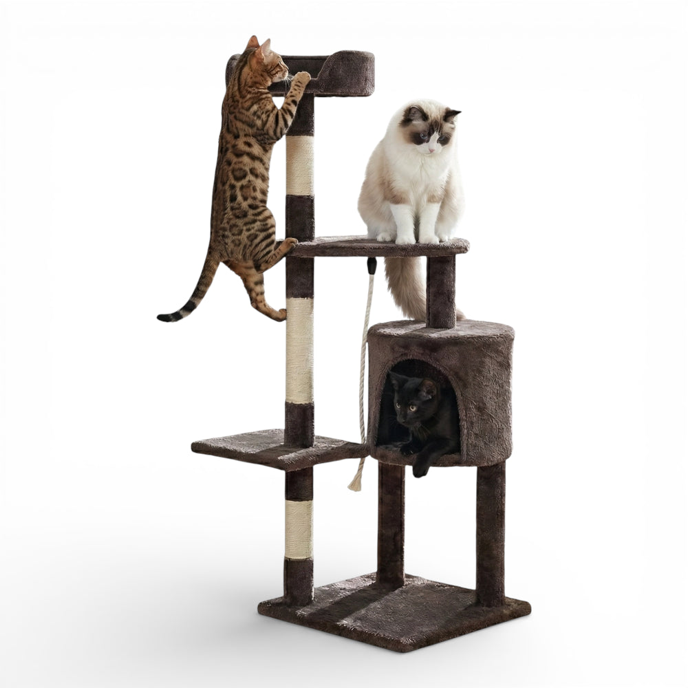 Arbre à chat avec niche ronde (4)