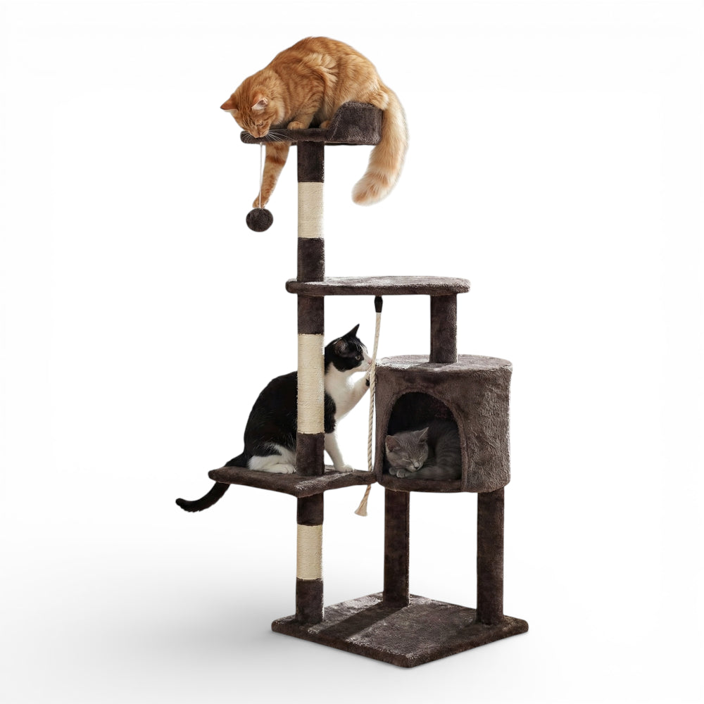 Arbre à chat avec niche ronde (4)