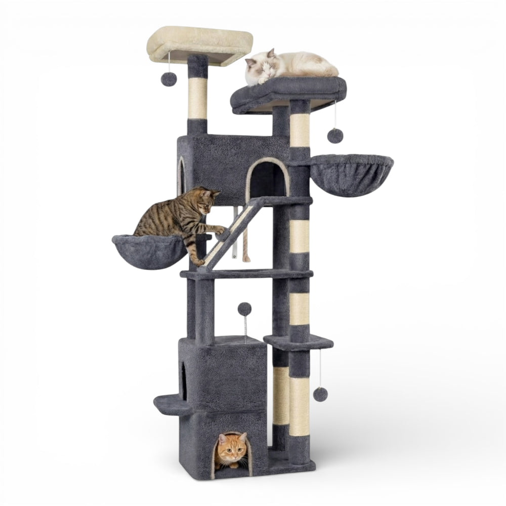 Grand arbre à chat double niche, double hamac et rampe (5)