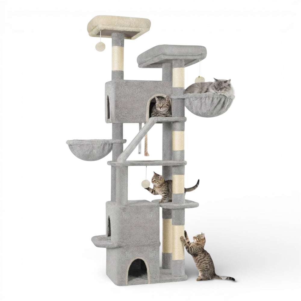 Grand arbre à chat double niche, double hamac et rampe (5)