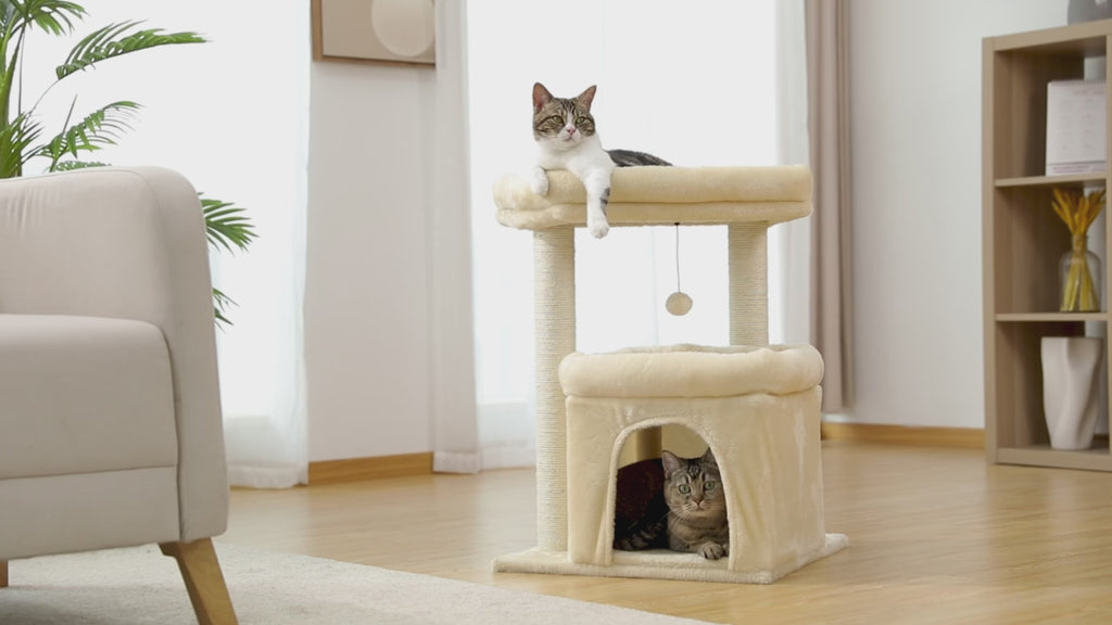 Arbre à Chat Minimaliste avec Maison & Perchoir Douillet