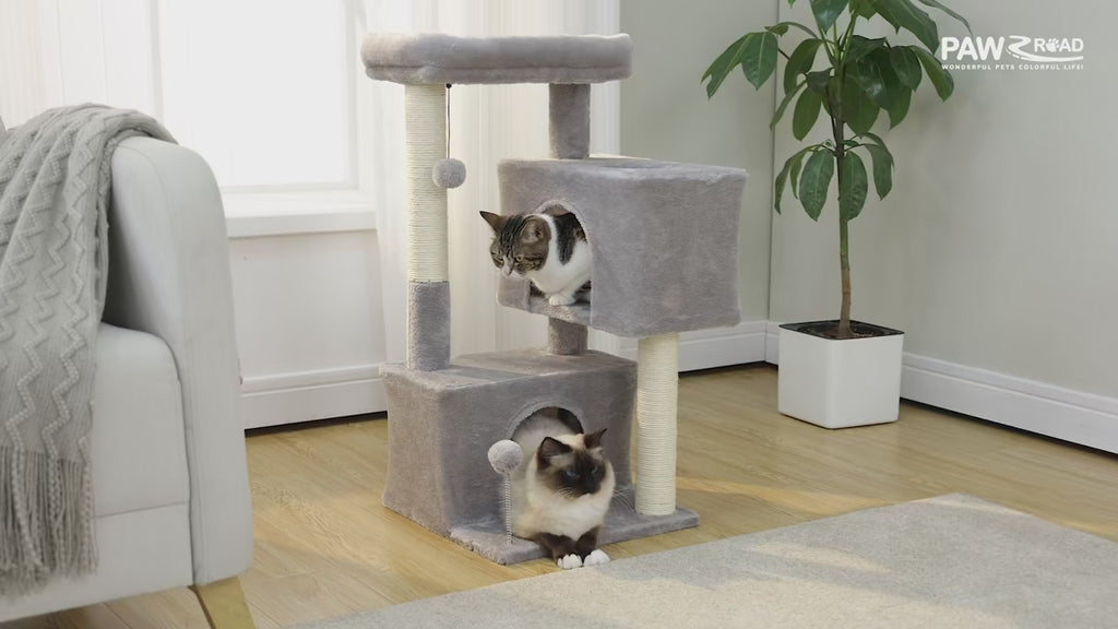 Arbre à Chat Compact avec Double Maison & Griffoirs Sisal