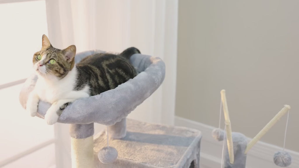 Arbre à Chat Grand avec Maison Double, Hamacs & Jouets