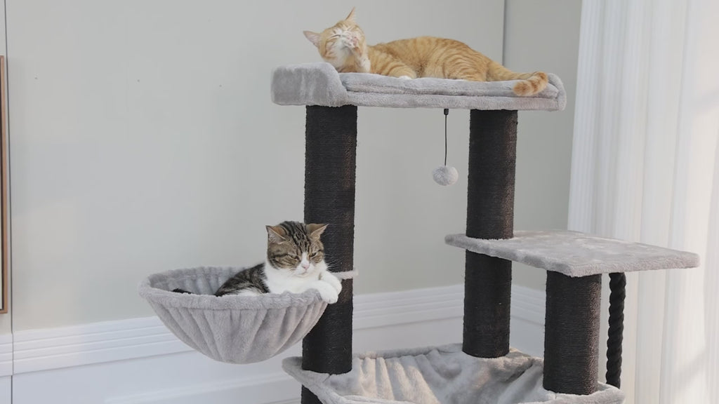 Arbre à Chat Multi-Niveaux avec Maison & Hamacs
